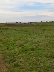 535927_WhatsApp Image 2021-11-09 at 19.50.57 (1).jpeg